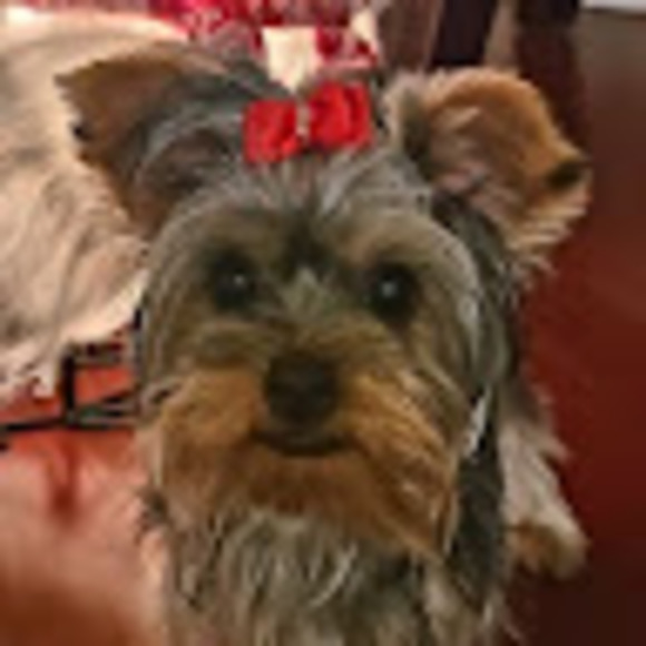 Meet your Posher, Claudia - Picture 1 of 1